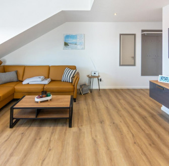 Domizil Deichloft C8 - Penthouse